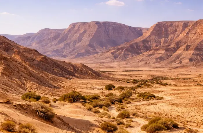 דרום הארץ
